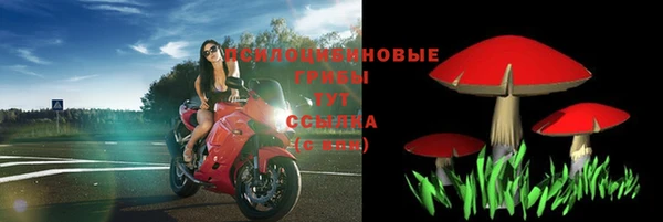 крисы Алзамай