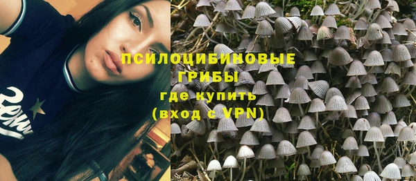 спиды Алексеевка