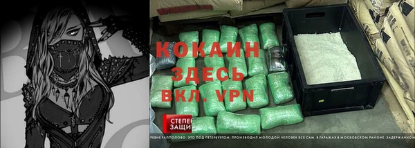 крисы Алзамай