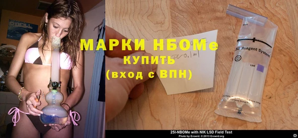 крисы Алзамай