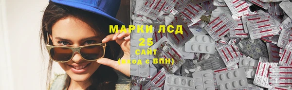 крисы Алзамай